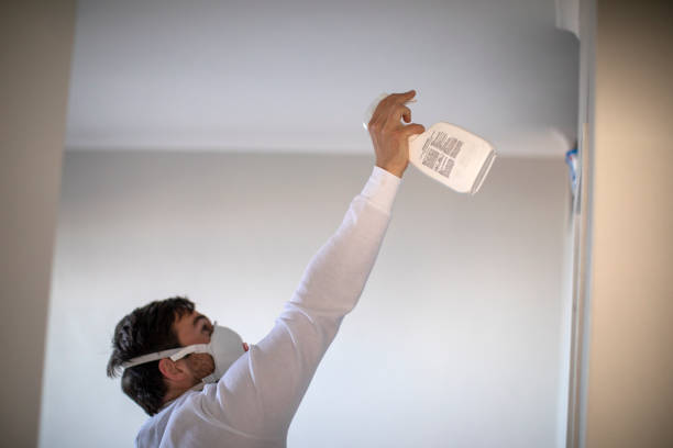 Best Mold Remediation  in Limestone Creek, FL